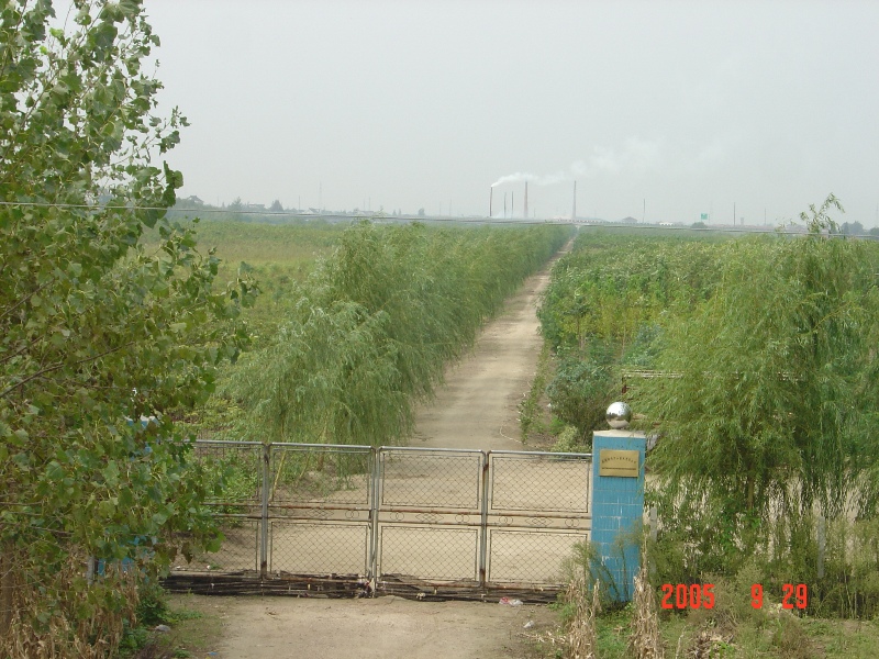 南通錦繡河山苗木基地近況（十月）